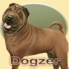 Dreamzer - Hundezüchter bei Dogzer