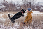Un Husky Sibérien qui lèche le visage d'un enfant